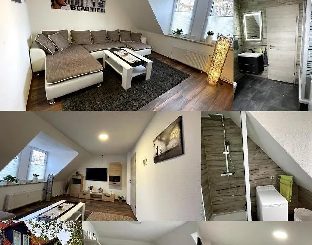 Lindeneck Superior * Bernburg